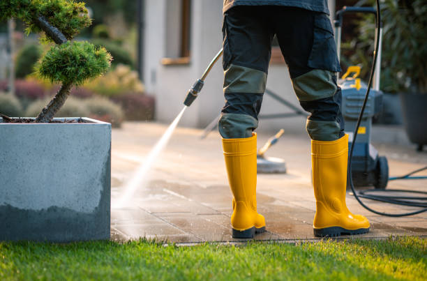 Best House Pressure Washing  in Independence, KY